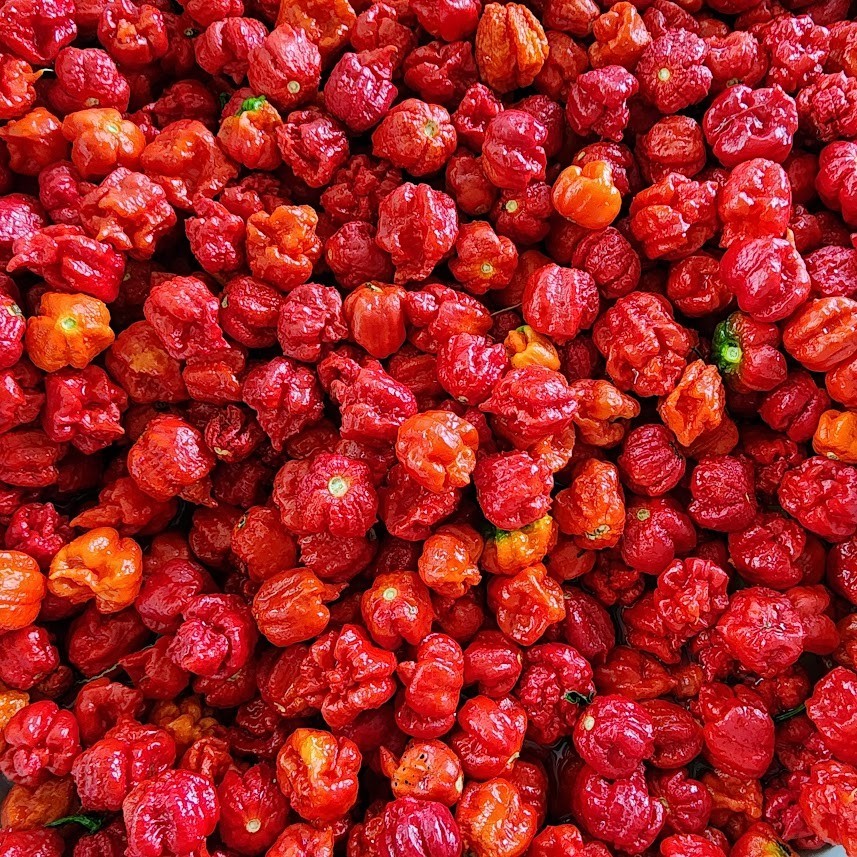 Carolina Reaper & Trinidad Scorpion Pepper Flakes | 1,000,000+ SHU |Free Ship