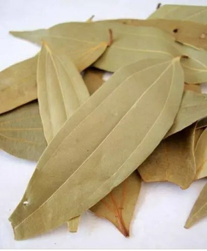 Indian Tej Patta for Tadka Natural and Organic Bay Leaf Spice 100 gm Pack