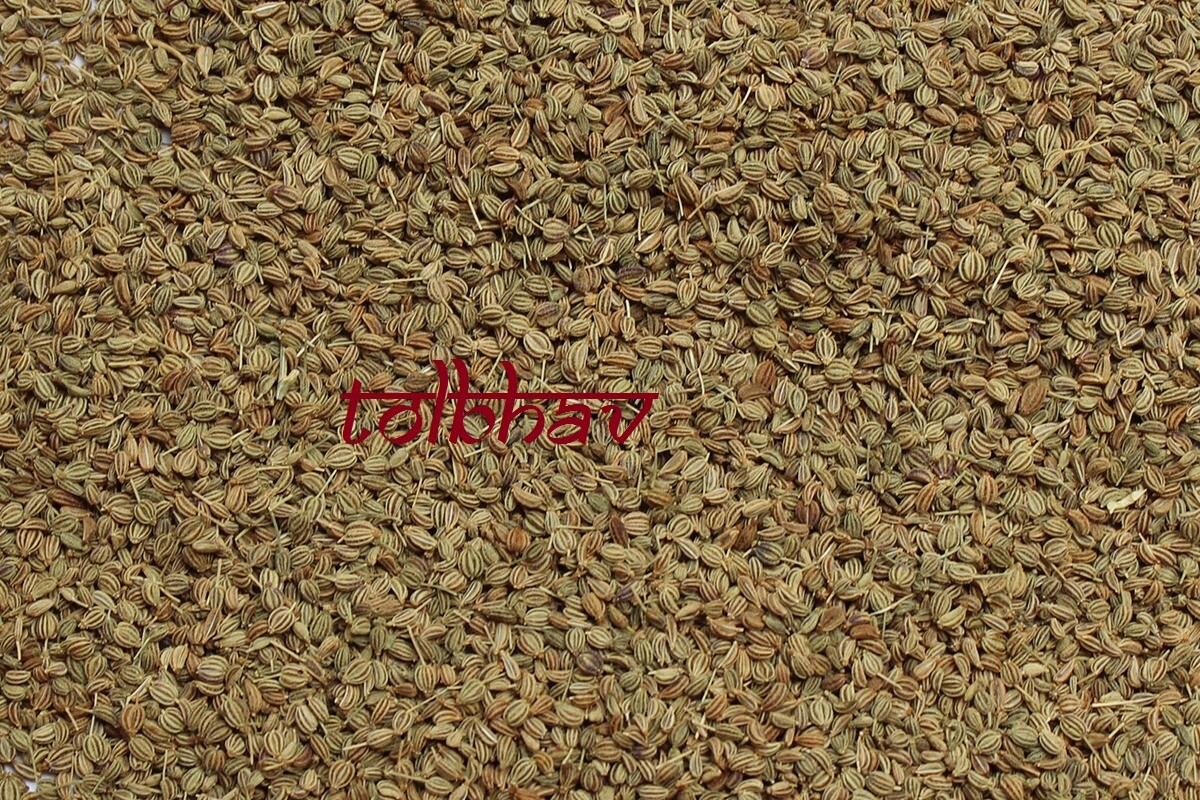 Carom Seed / Ajwain 100% Pure Natural Spice,Cooking And Medicinal Use From India