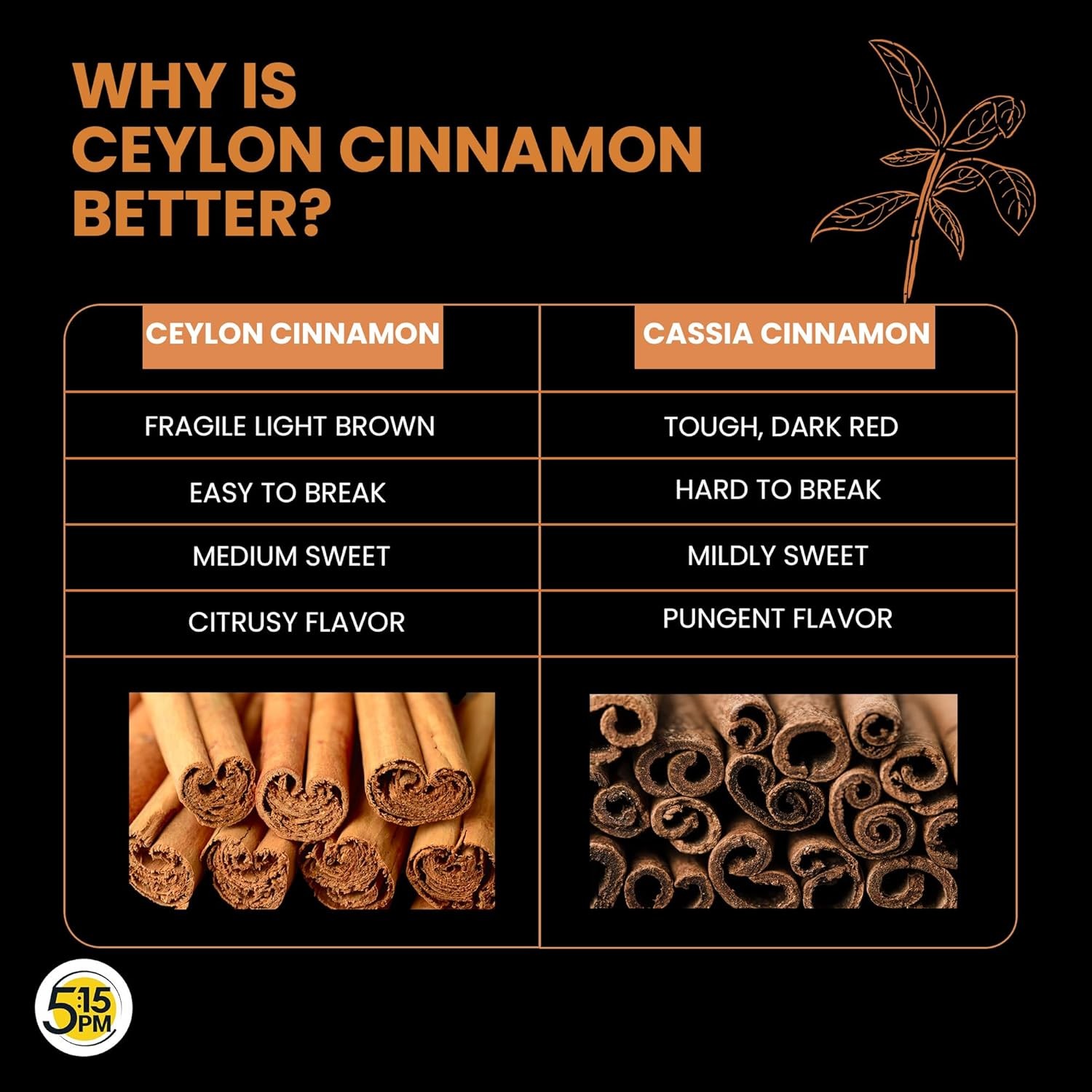 5:15PM Ceylon Cinnamon Sticks Original 100gm Pack of 3 | SriLankan Dalchini Quil