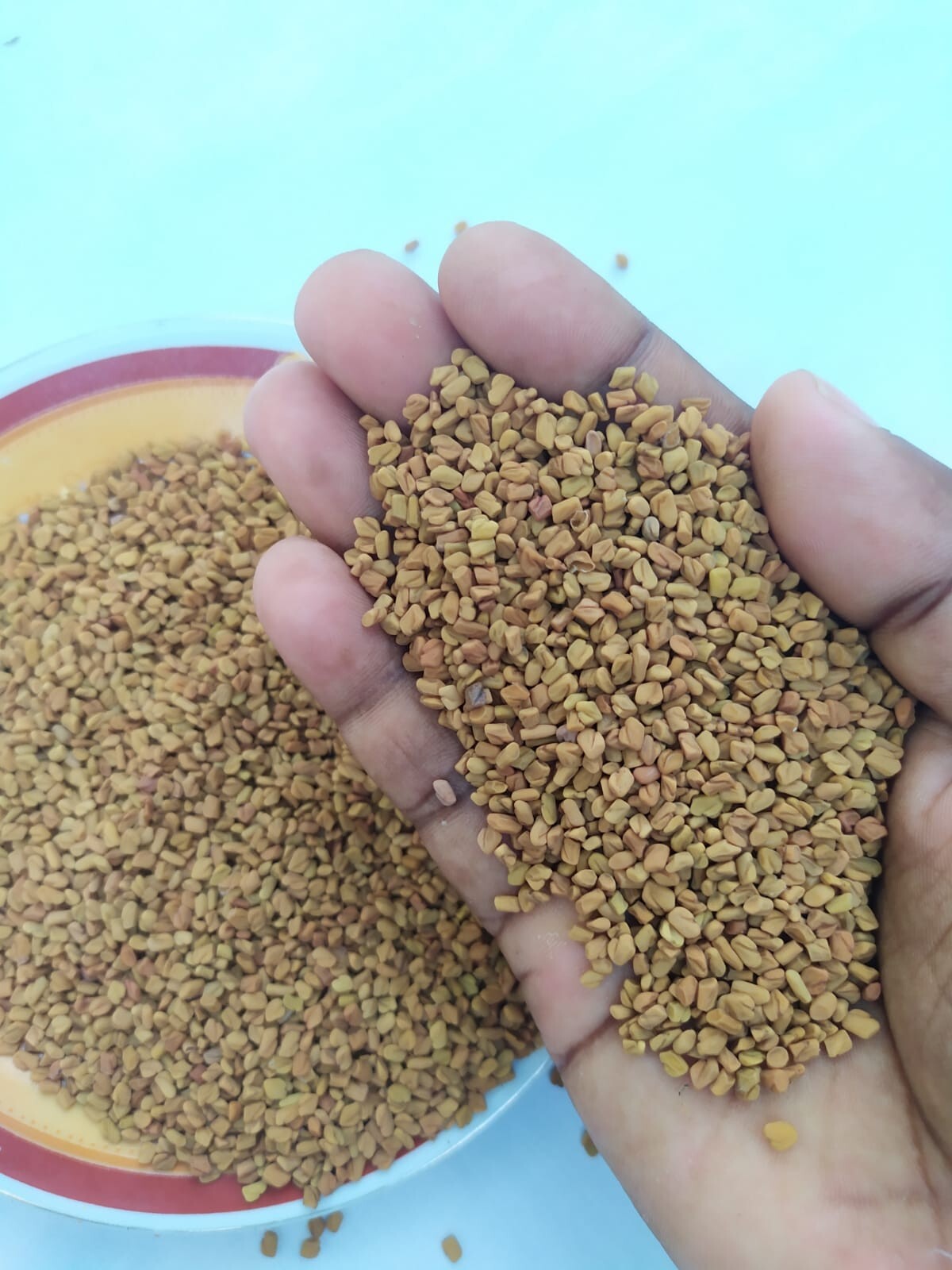 Ceylon Organic FENUGREEK Seeds Whole, Quality Pure Natural Spices Freeshipping