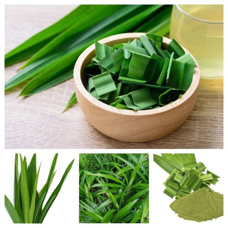 Organic Sun Dried Pandan Leaves Natural Spice Ceylon Pure 100% Good Quality