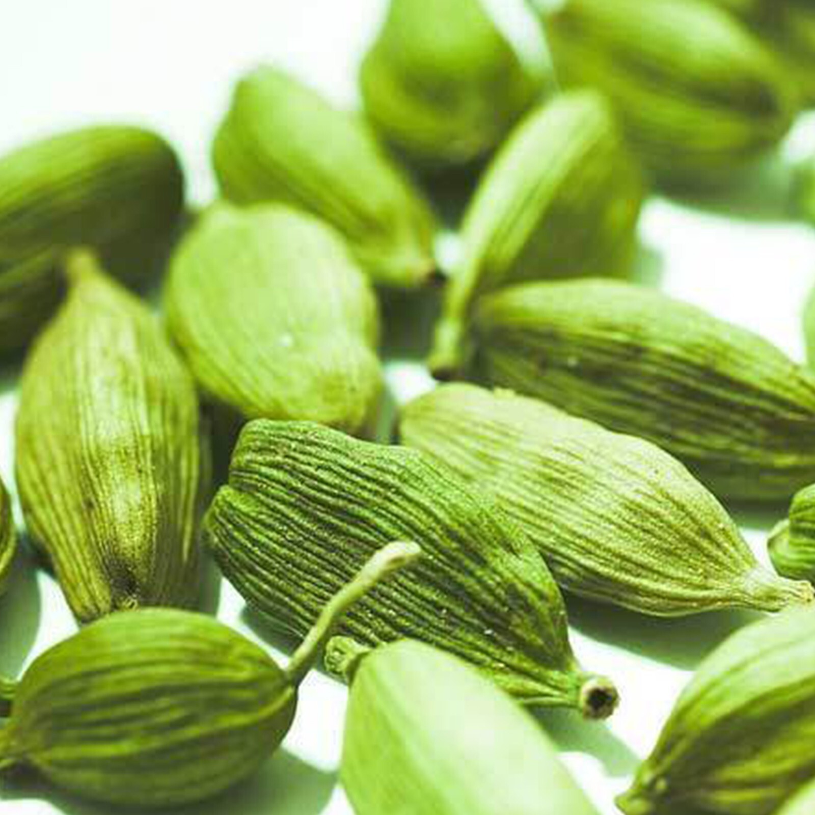 100% Natural Premium Quality A grade Ceylon Pure Organic Cardamom seeds Pods