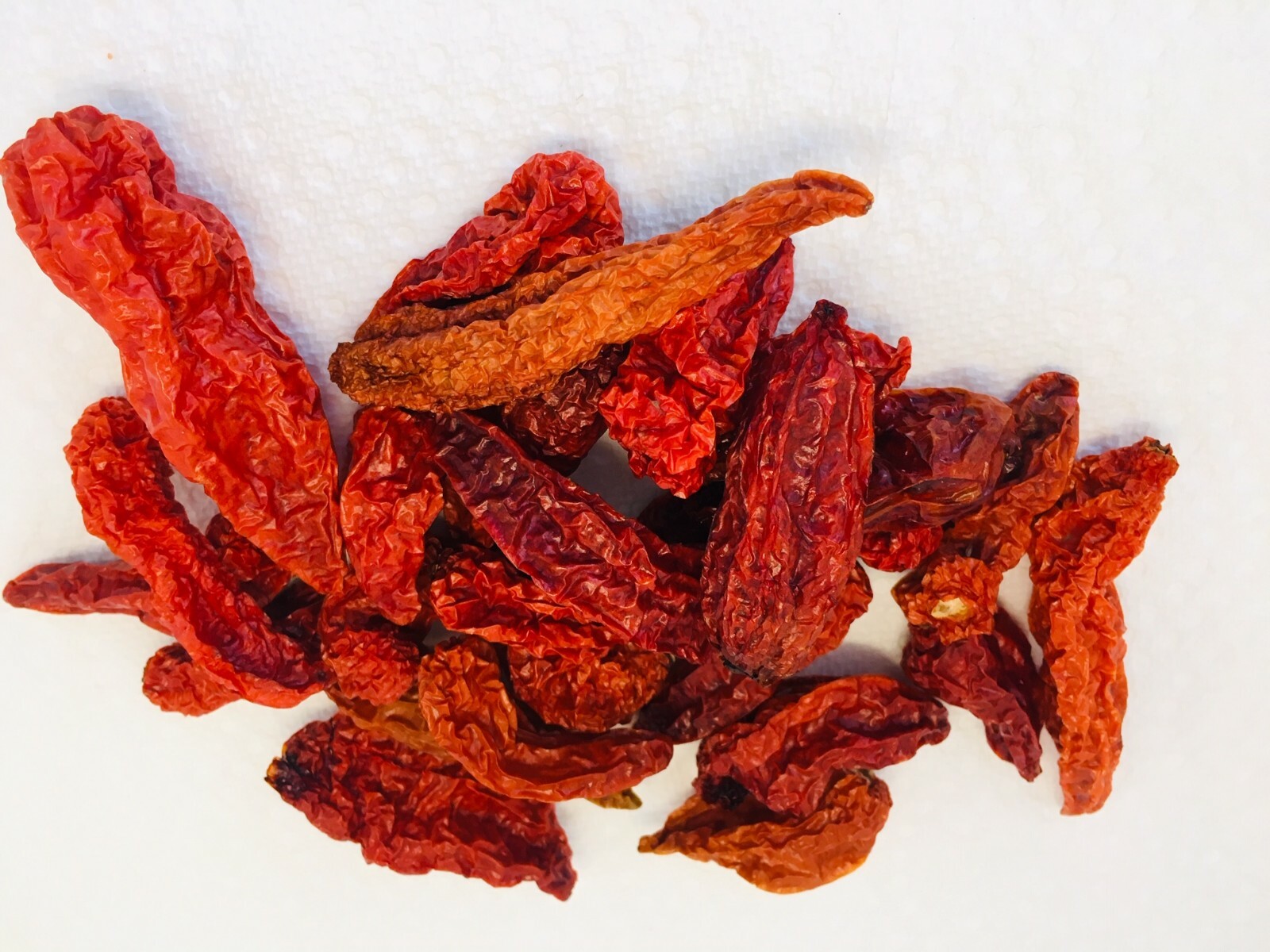 WHOLE DRIED SCOTCH BONNET AND/OR GHOST(BHUT JOLOKIA) PEPPERS ORGANICALLY GROWN