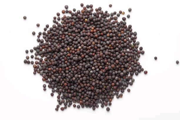 semilla de mostaza negra~black mustard seed -1 lb