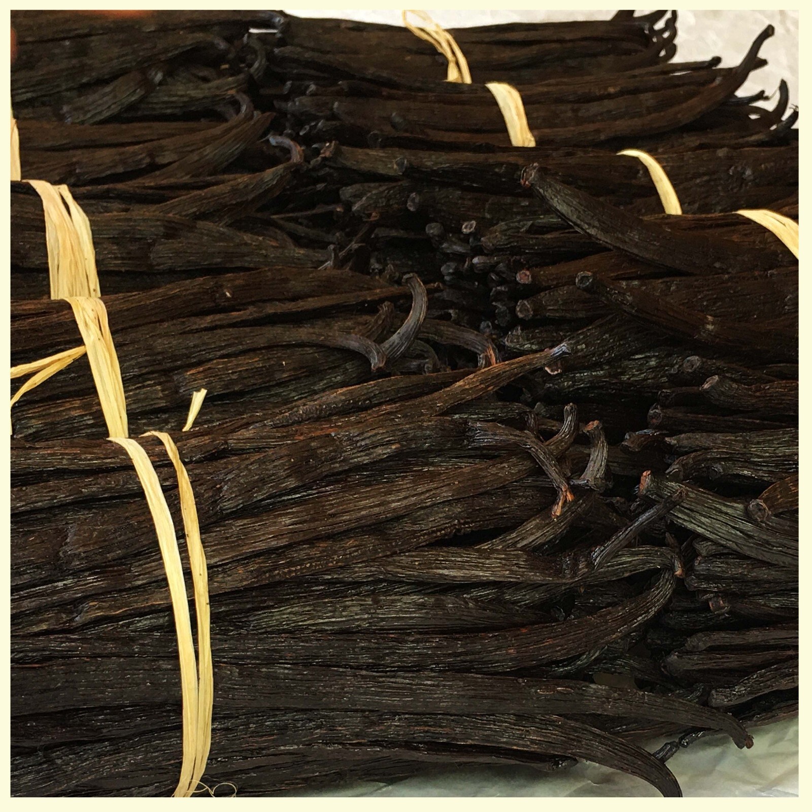 1 lb Premium Vanilla Beans Grade A 6+ Inches : Direct from Growers – Fair Price.