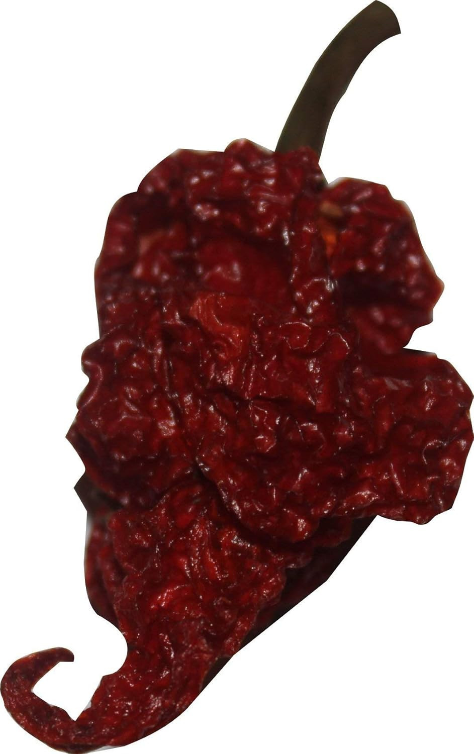 Scorpion Chili Powder Spice Seasoning Trinidad Moruga Red Tail