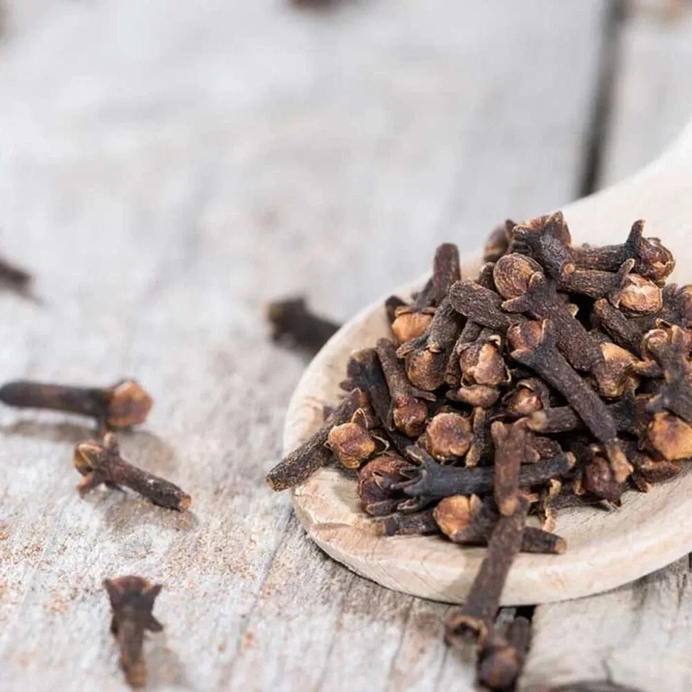 Indian Spices Masale Cloves Laung Pure Organic 100gm Free Shipping N329