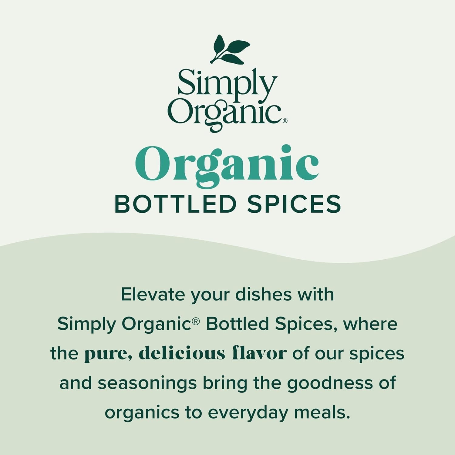 Organic Garlic Salt Blend, 4.7 oz | Elevate Your Savory Dishes Elegantly
