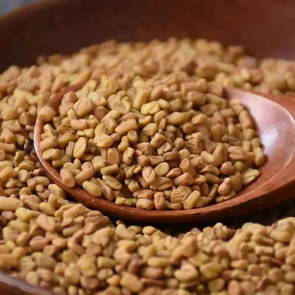 Ceylon Fenugreek seeds Pure Organic Natural Bulk KNOWN AS METHI Premium Quality