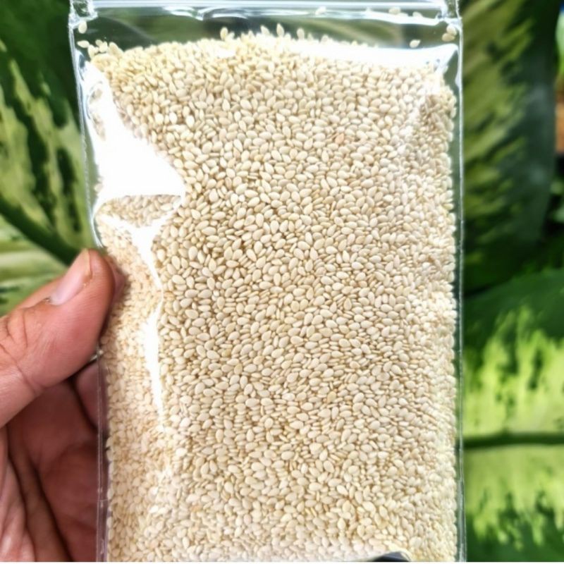 White Sesame Seeds 100g Culinary Ingredient For Cooking
