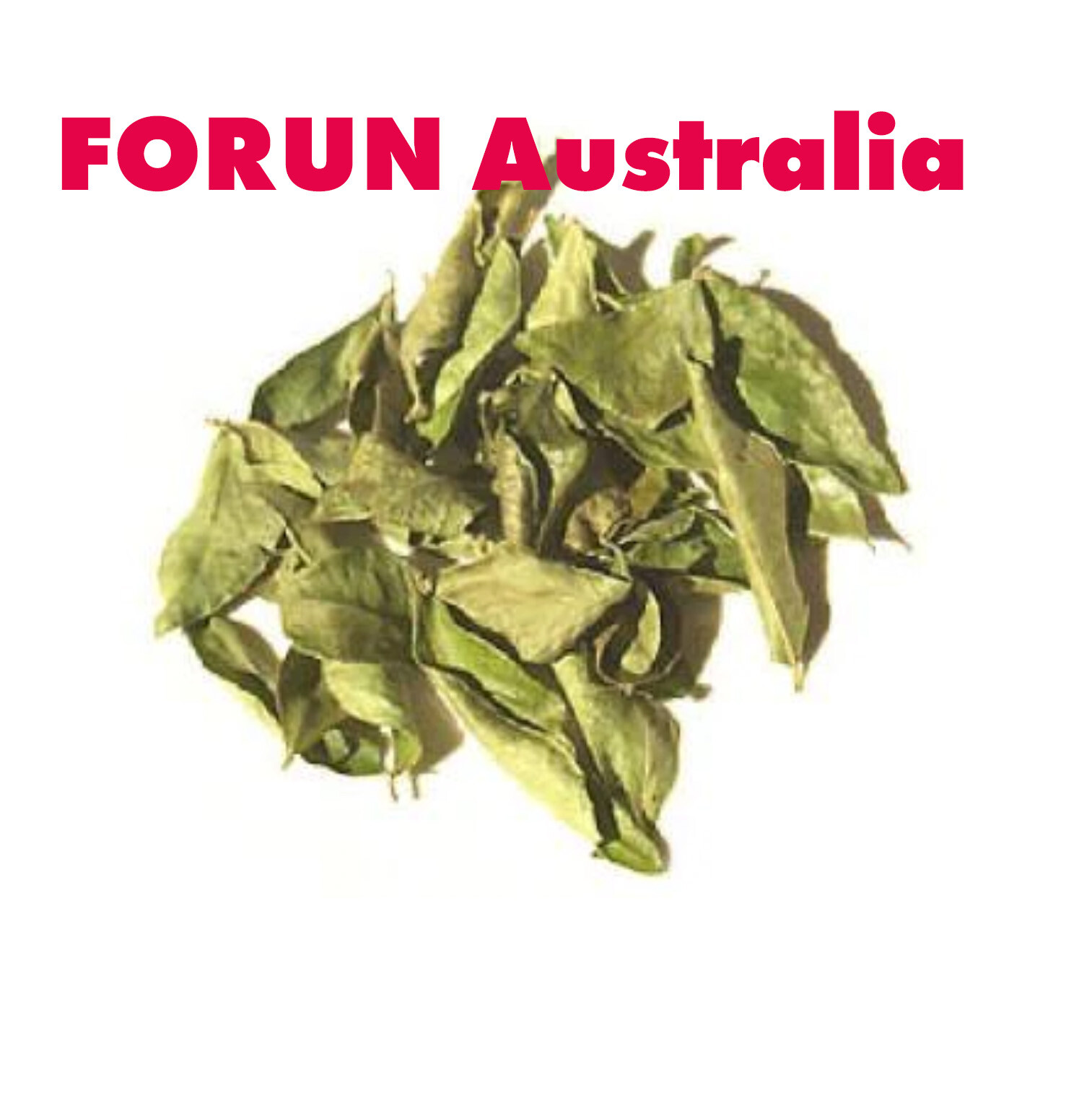 FORUN Dried Curry Leaves
