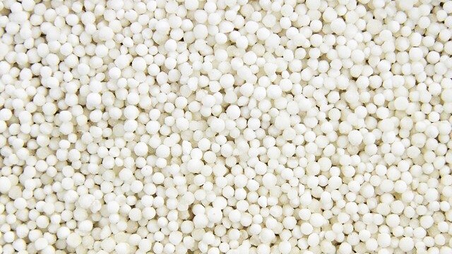 Sago 100g Natural Pure Organic Fresh 100% Cereal Sri Lankan Free Shipping Seeds