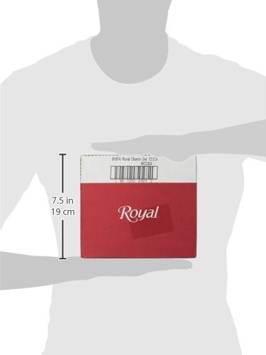 Royal Gelatin Fat Free Dessert Mix Pack of 12 6 Flavors Easy to Make 2.8 Ounce