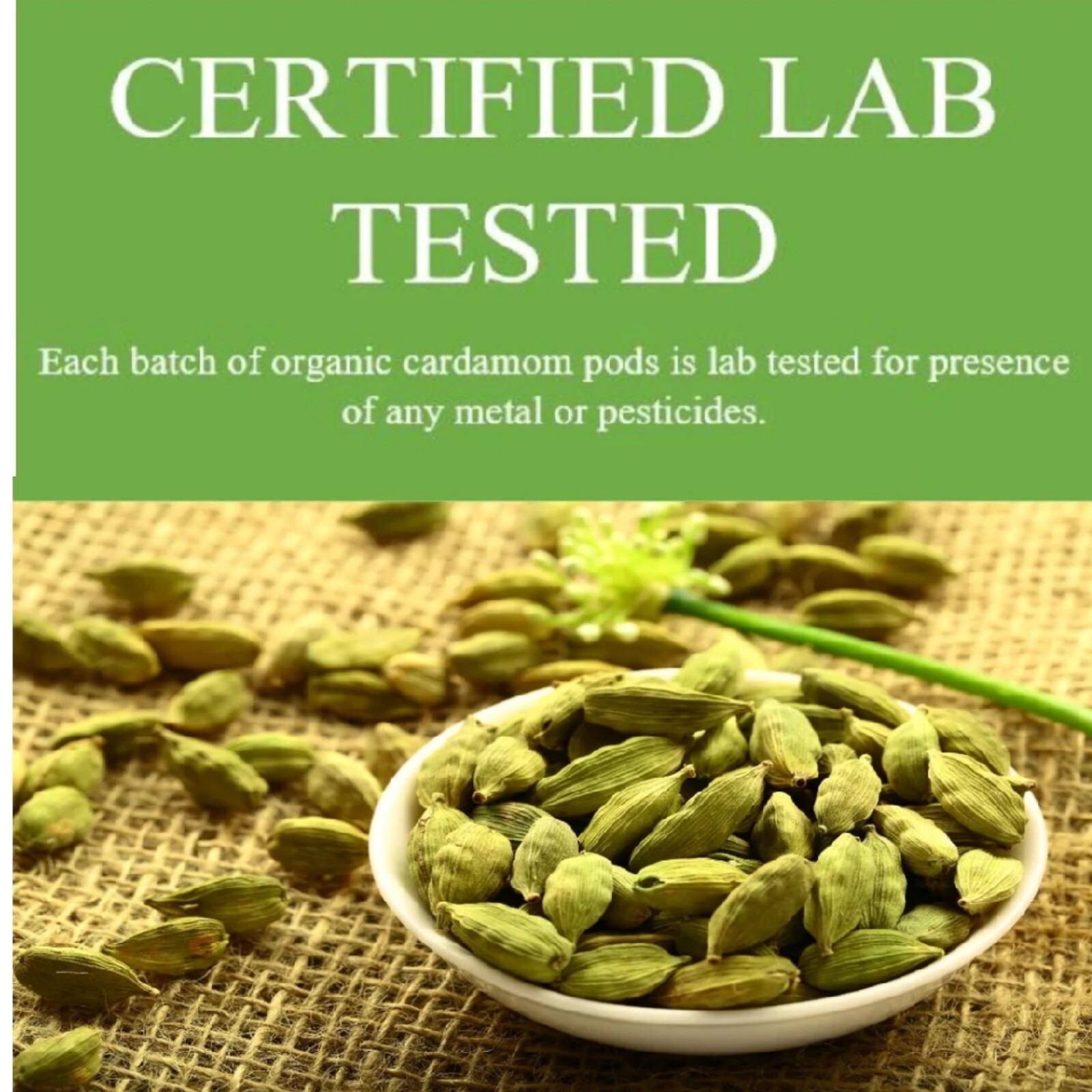 ORGANIC Cardamom Pods, 16oz Jumbo Green Fresh Seeds, Non-GMO, Gluten Free