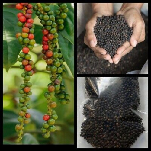 Pepper Black Ceylon Organic Peppercorns 100% Natural Spices