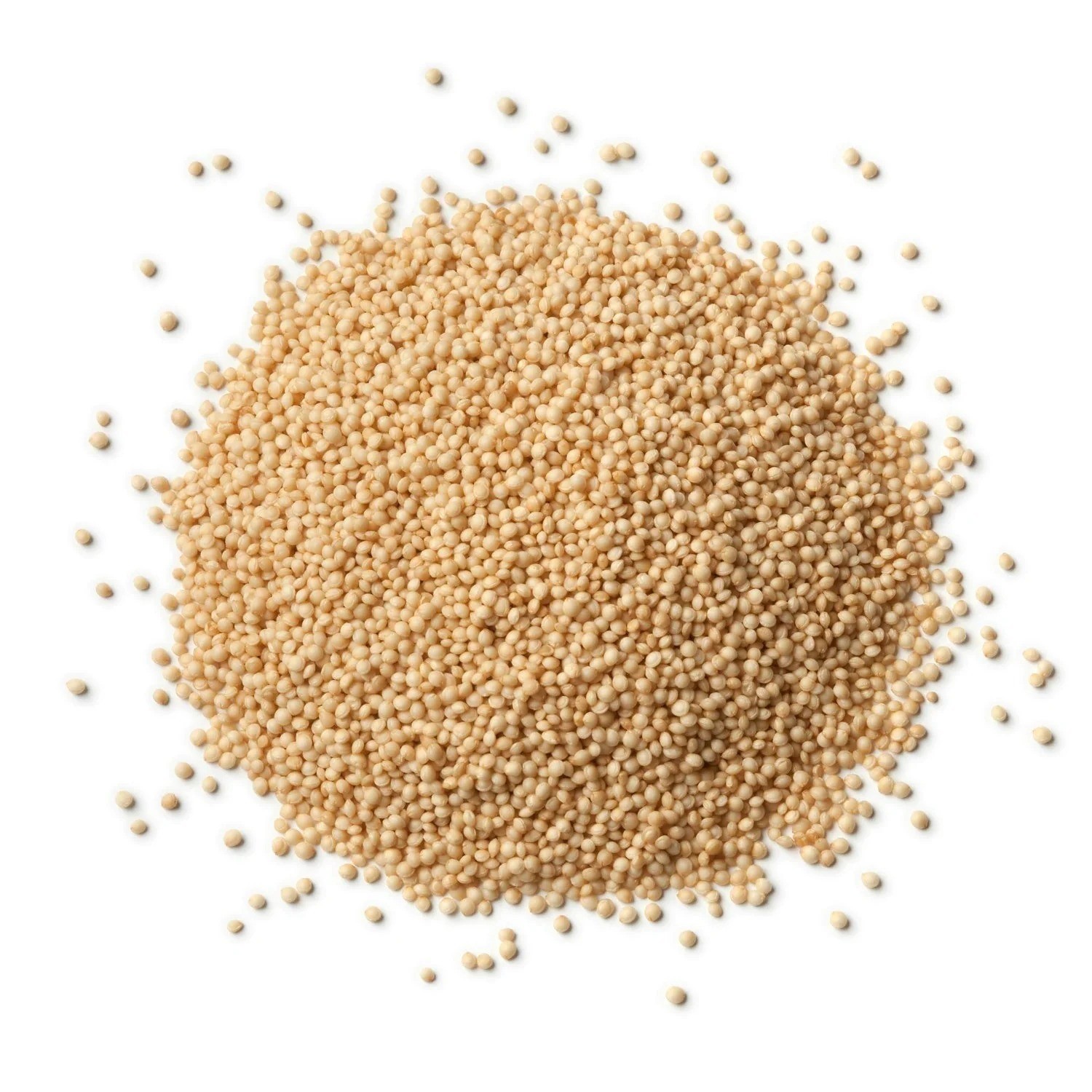 Posto Poppy Seeds | Khaskhas for Bengali Cooking | Khus Khus Whole Seed 100g