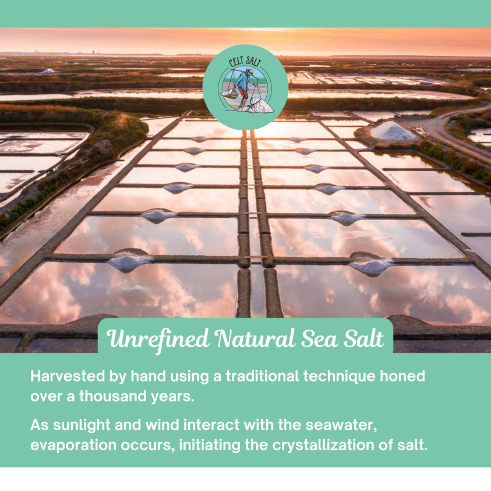 Celtic Sea Salt- Fine Ground 1/2 lb Resealable Bag Celt Salt Brand