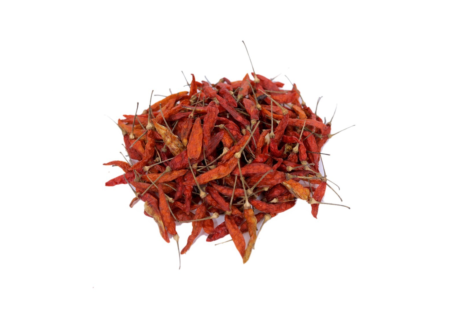 ARK PURE HERB Bird’s eye chili-Capsicum frutescens- Kanthari Chili- Thai chili