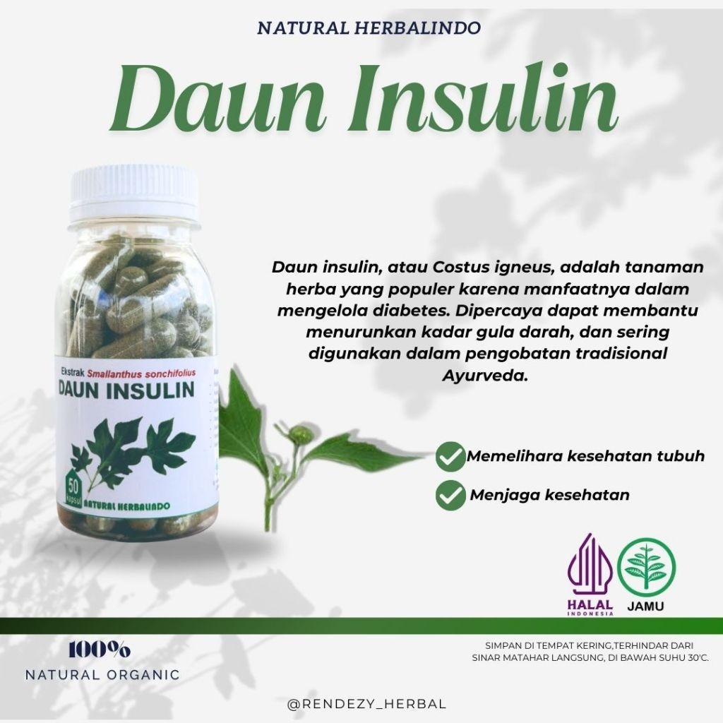 Insulin Leaf Capsules 50pcs 500mg Indonesian Herbal Support