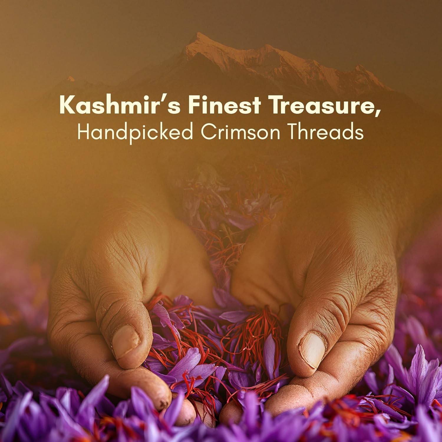 Pure Original Kashmiri Saffron / Kesar (crocus sativus) – (1gm) , Pack of 3