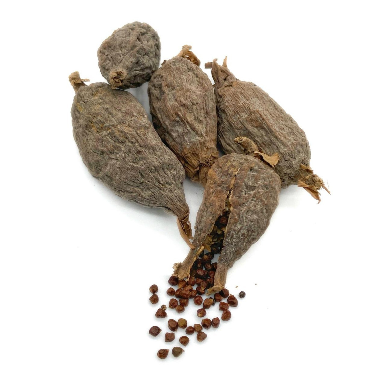 African alligator pepper atare, paradise pod, Guinea pepper, Mbongo spice 5 Pods