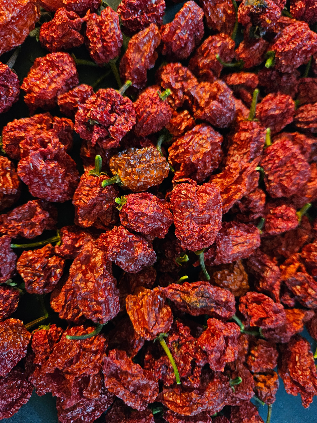 USA Dried Organic Carolina Reaper Peppers. 20 Peppers in a Resealable Pouch.