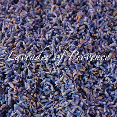 Lavender + Herbes de Provence tin organic premium culinary cooking edible flower