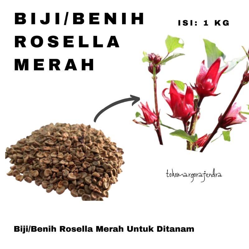 Roselle Seeds Bulk 1000g Hibiscus Sabdariffa Planting Seed natural organic