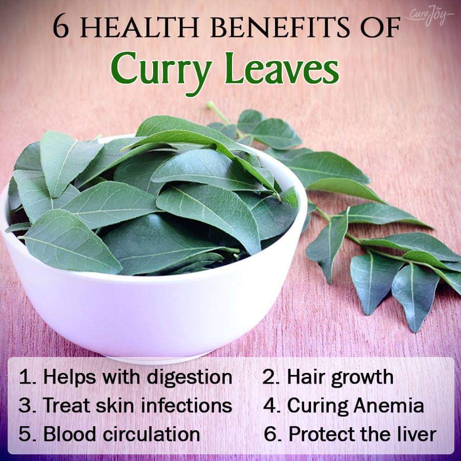 curry leaves seeds sri lanka (karapincha)