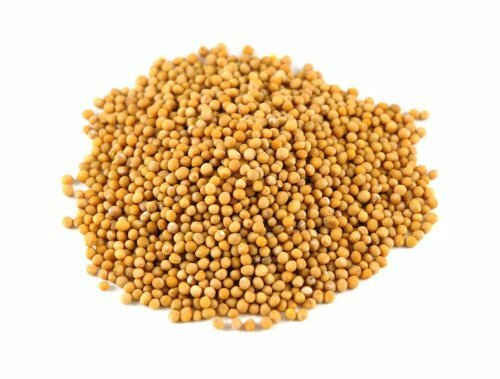 Indian Premium Whole Yellow Mustard Seed, Peeli Sarson, FREE SHIP