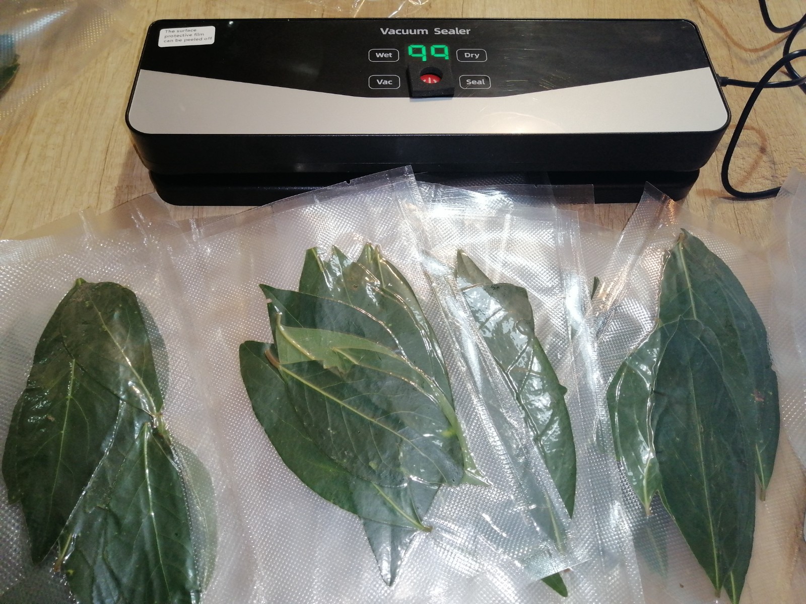 Fresh bay leaves – vacuum packed, fragrant, home-harvested
