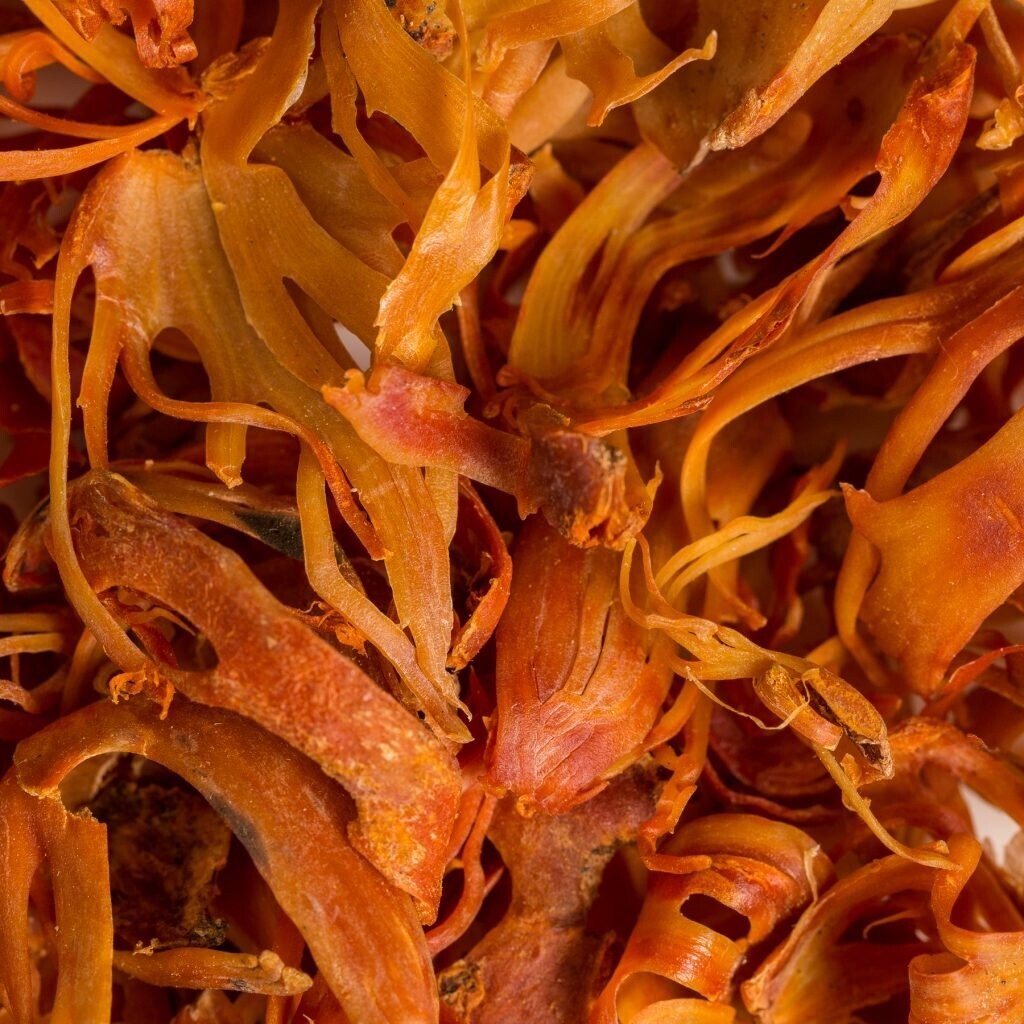 Organic Whole Mace-Sourced Directly From Small Farms in Sri Lanka
