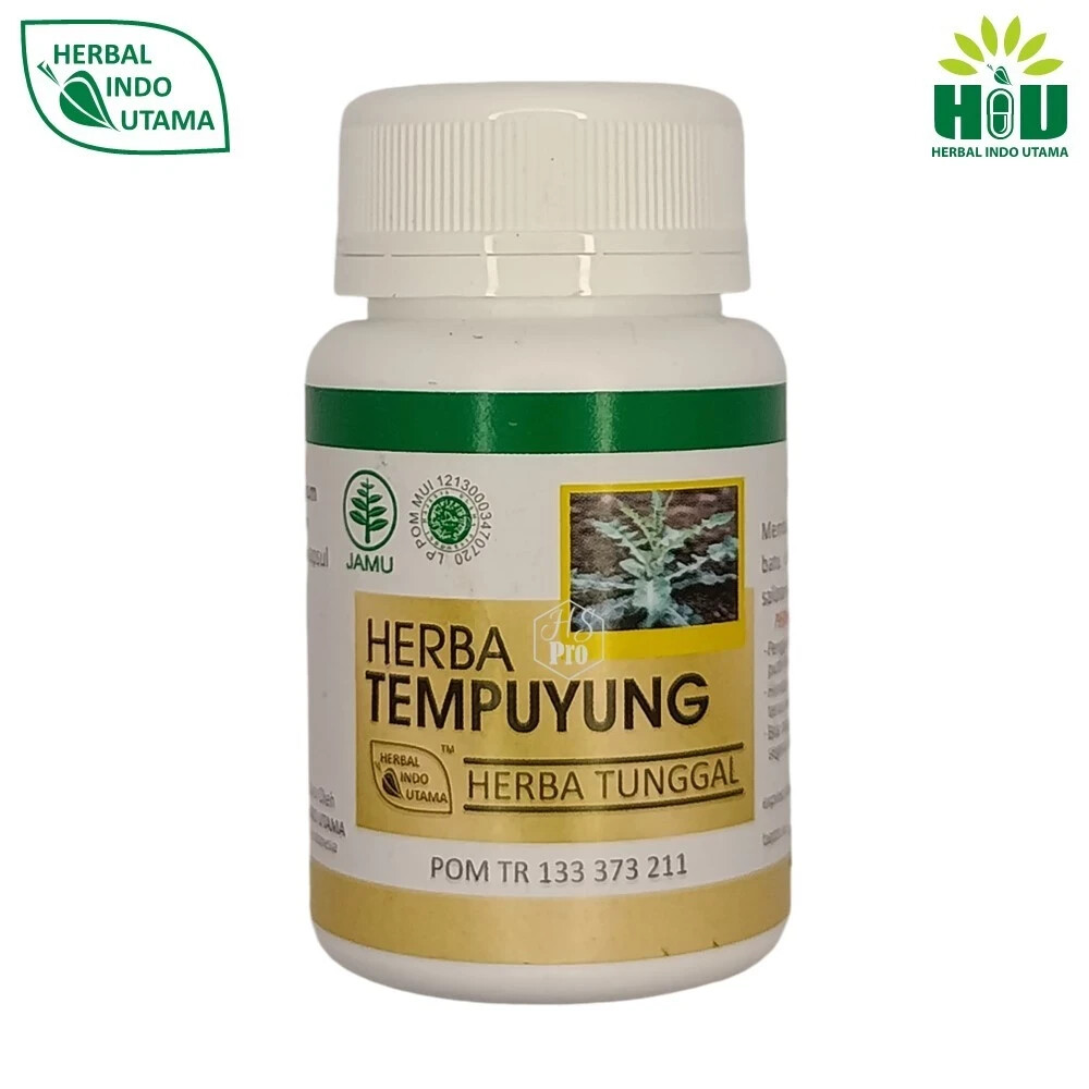 Tempuyung Powder Caps Natural Organic Herbs Spices Fresh Pure Hygienic Premium