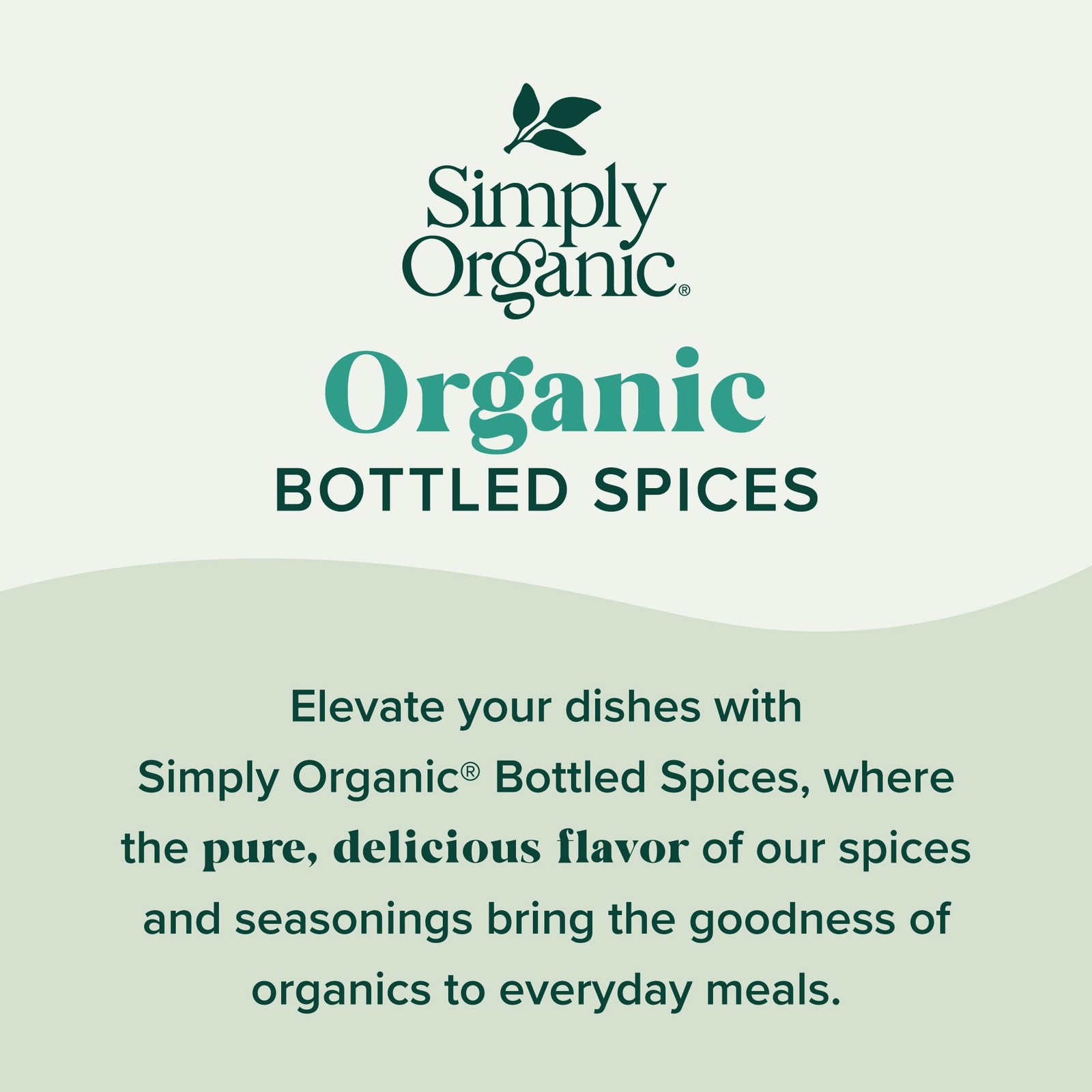 Organic Cilantro Spice – 0.78 oz for Flavorful Cooking and Seasoning