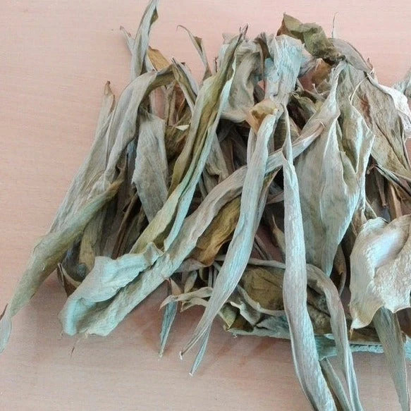 Dried Thebu Leaves DIABETIC Insulin best Ayurvedic CANEREED Speciosus Tea Drink