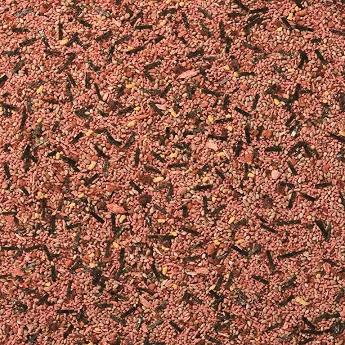 Hagoromo Rice Seasoning Salmon Furikake 500g From Japan