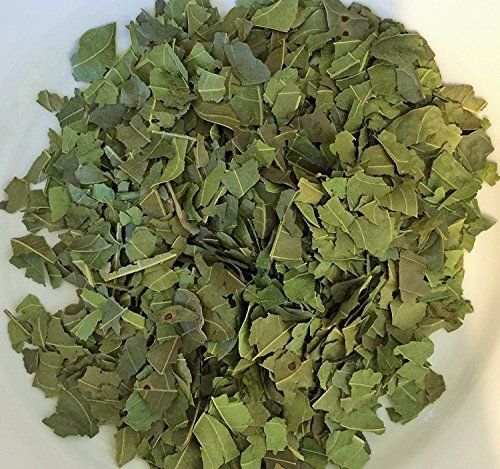 Natural ORGANIC Dried MANGO leaves For Tea Pure 100% Quality Fresh Healthy Leaf