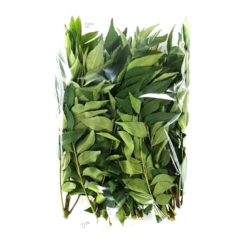 Ceylon Dried Curry Leaves 100g 100% Organic Fresh Premium Quality Herbs New