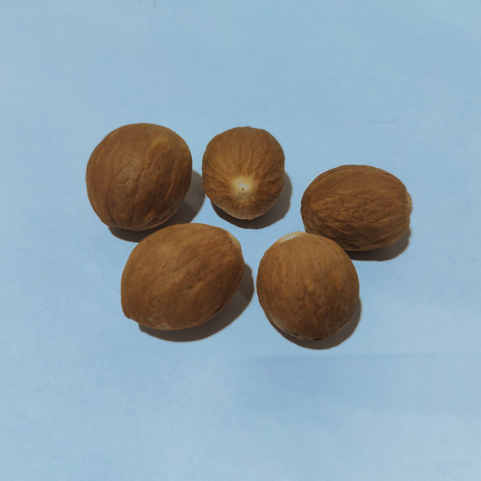 Dried Organic whole Nutmeg without shell – 100g – Free Shiping