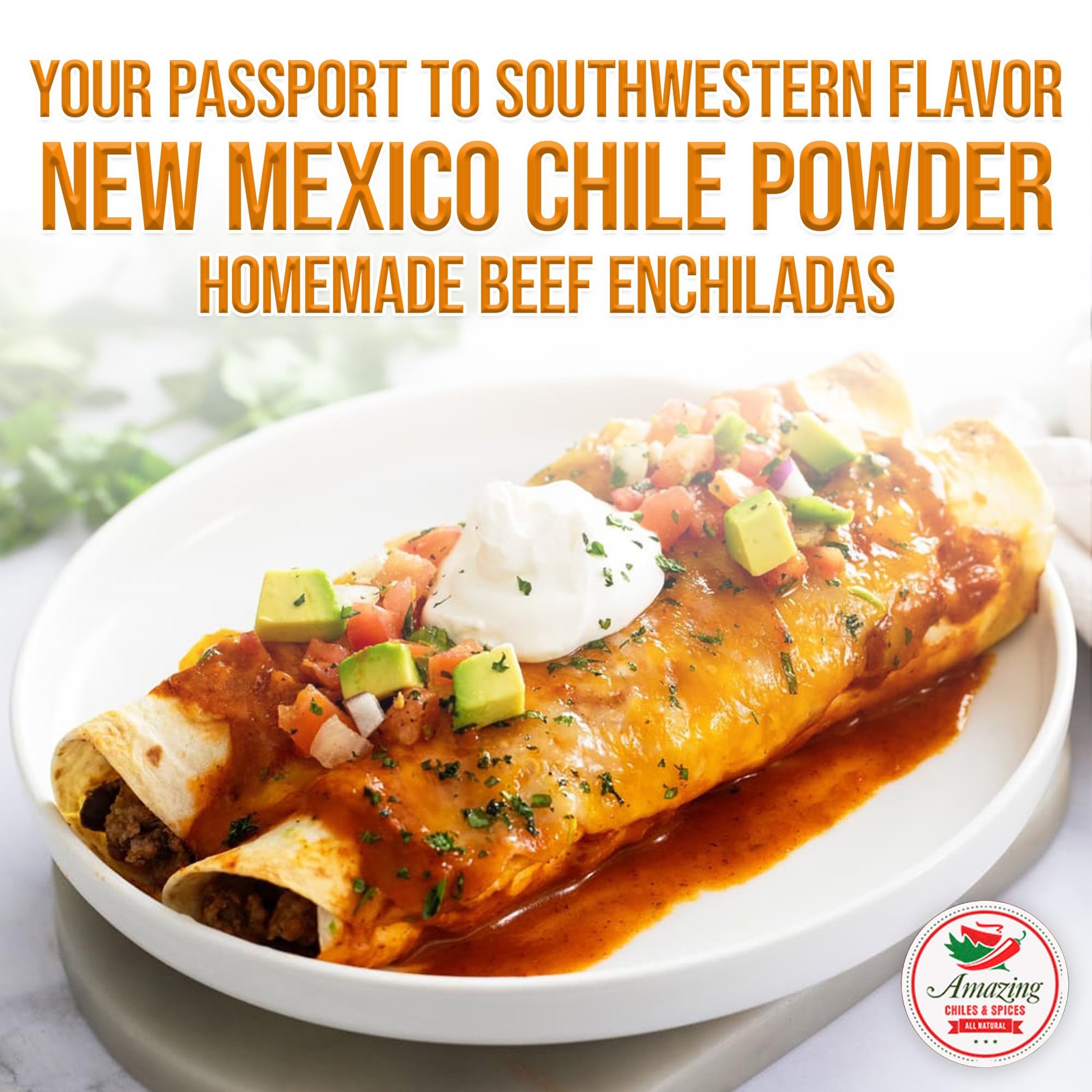 New Mexico Chili Powder (4oz) – Natural and Premium. 4 Ounce (Pack of 1)