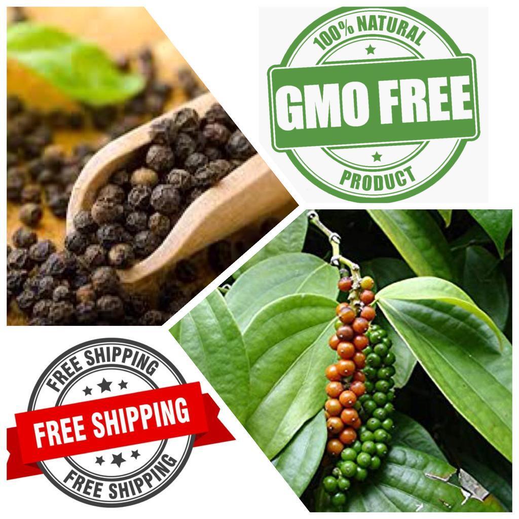 Home grown Hand picked Sun Dried Ceylon Black Pepper Spice Free Shipping