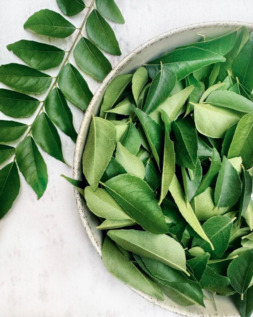 1 oz- Fresh Curry Leaves Texas-grown,organic-ships free
