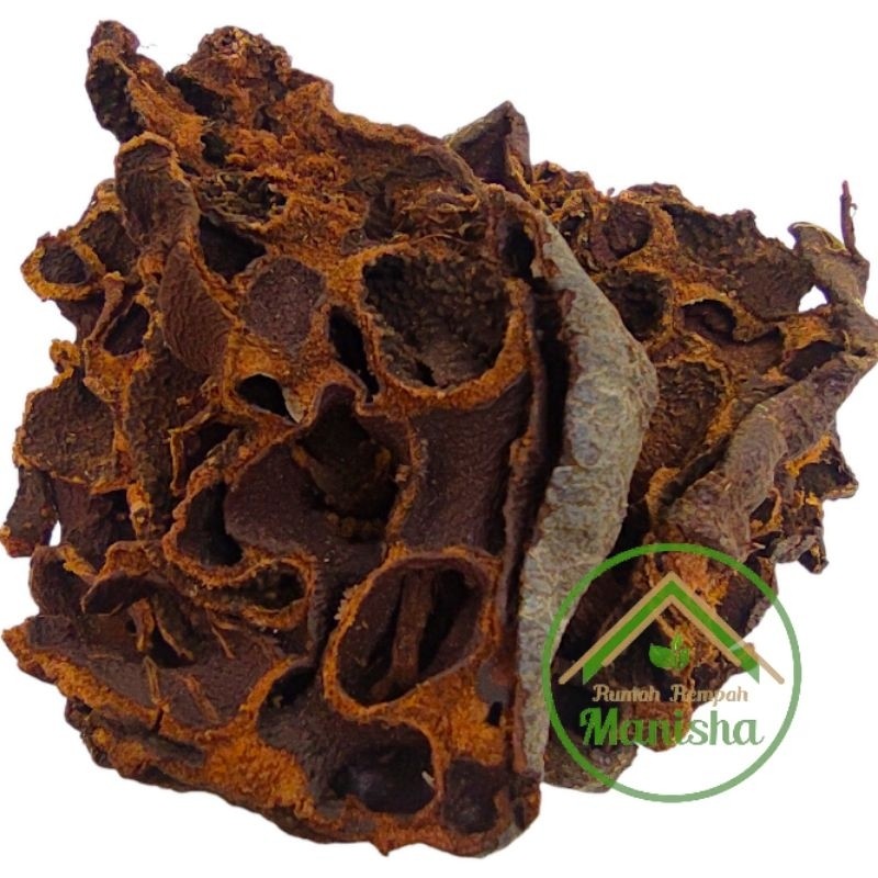 Sarang Semut Papua 100g Wild Dried Chunk Indonesian Botanical Tea