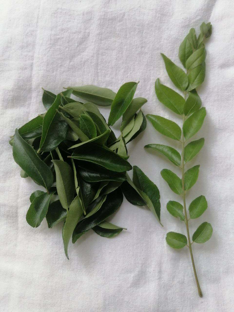 Sun Dried Curry Leaves 100g