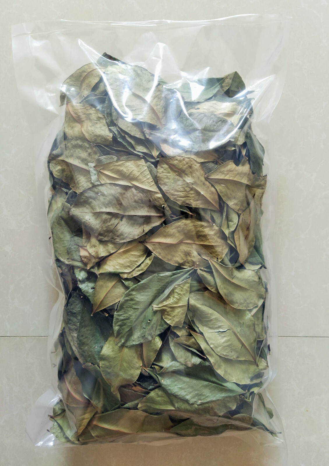 CorkWood Dried Dawata Carallia Brachiata Freshwater Mangrove Carallia 3.5-26oz