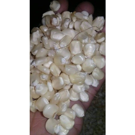Dried White Corn Kernels 1kg Natural Grain for Cooking, Feed & Pantry Use