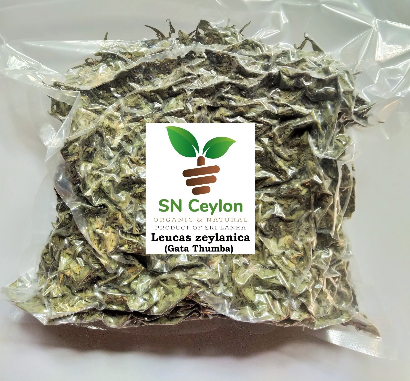 Leucas Zeylanica Dried Herb Geta Thumba Ceylon slitwort Mudi-Tumpai 3.5 -26oz