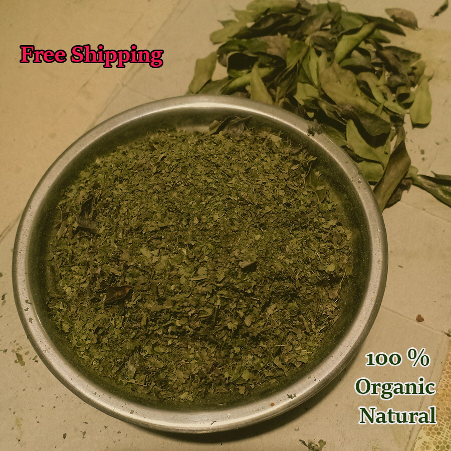 Dried Natural Organic Curry Leaves Powder Leaf Species Herb Tea Premium Quality