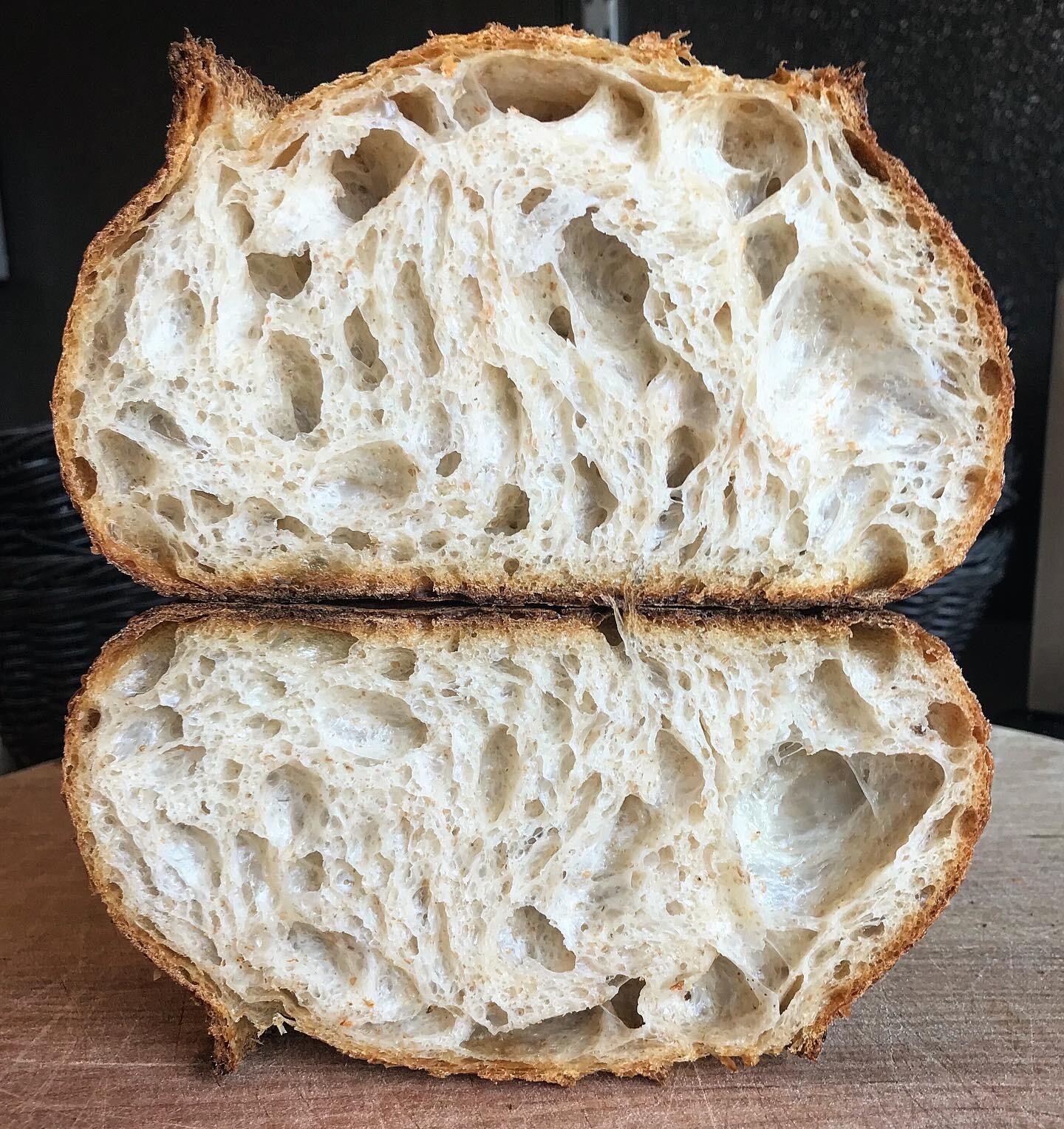 SOURDOUGH STARTER Dehydrated Sour Active California 125+ Yrs Old – 15 Gram Bag